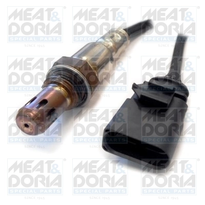Oxygen Sensor